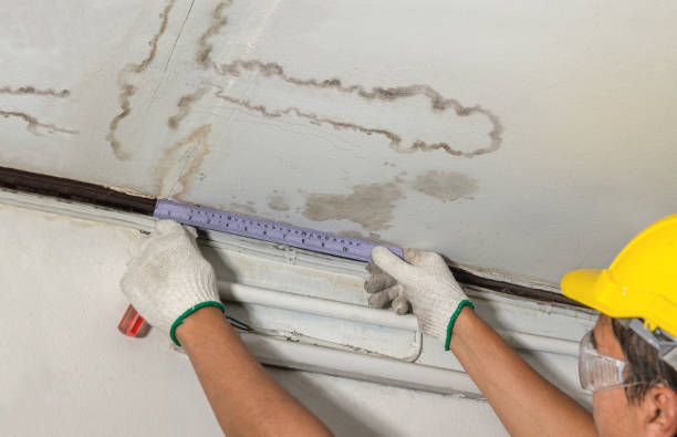 Reliable Mold Remediation contractor in Mansfield, LA by Water Damage Irwin